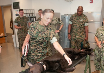 Brigadier General Maura Hennigan of 2nd Marine Logistics Group Visits Naval Medical Center Portsmouth