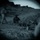 3/1 conducts company attacks at Range 400 Night 3/1 conducts company attacks at Range 400 Night