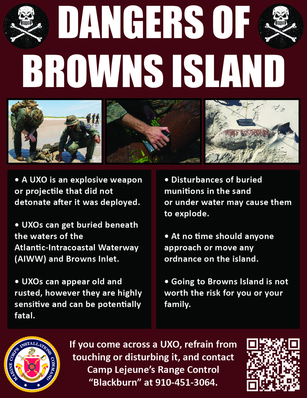 Dangers of Browns Island Poster