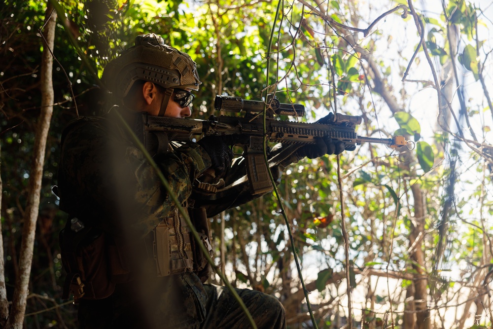 U.S. Marines with 1st Recon Bn. rehearse beach landings during Black Jack 25