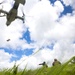 U.S. Marine Force Reconnaissance Company Casualty Evacuation Training