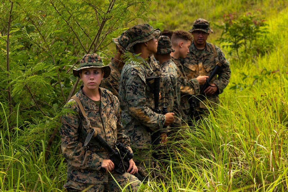 3d Intelligence Battalion Marines conduct live fire and maneuver range