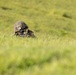 3d Intelligence Battalion Marines conduct live fire and maneuver range