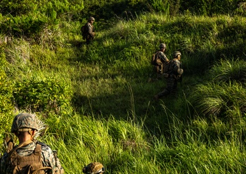 3d Intelligence Battalion Marines conduct live fire and maneuver range