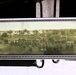 Pre-World War I unit photo donated to Fort McCoy History Center; dates to 1910s