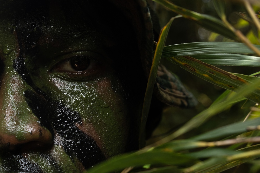 3d Intelligence Battalion Marines conduct training at Jungle Warfare Training Center