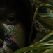 3d Intelligence Battalion Marines conduct training at Jungle Warfare Training Center