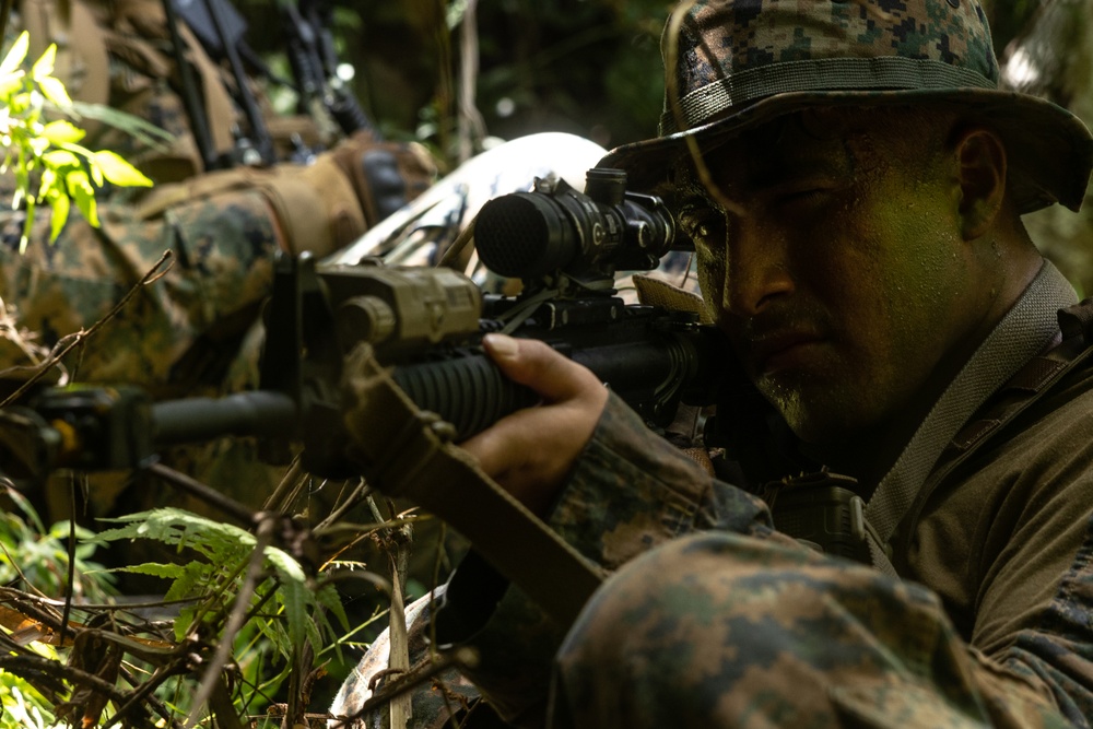 3d Intelligence Battalion Marines conduct training at Jungle Warfare Training Center