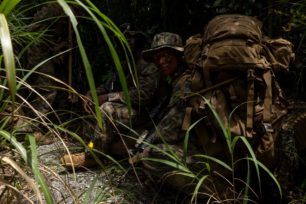 3d Intelligence Battalion Marines conduct training at Jungle Warfare Training Center