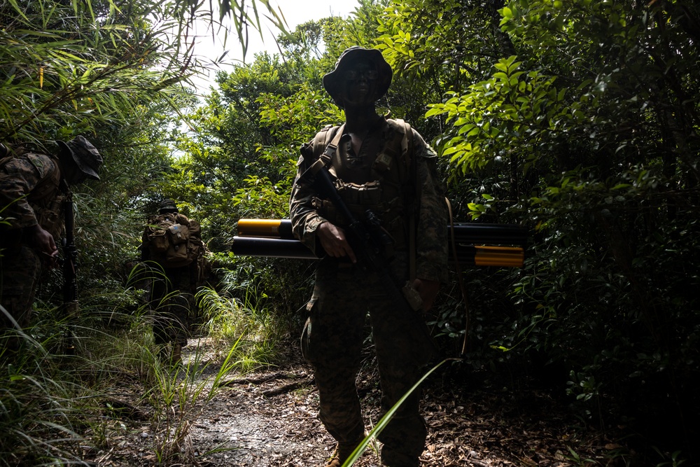 3d Intelligence Battalion Marines conduct training at Jungle Warfare Training Center