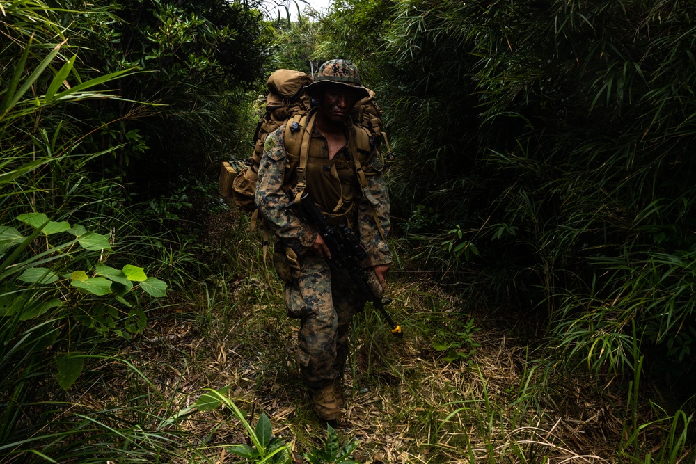 3d Intelligence Battalion Marines conduct training at Jungle Warfare Training Center