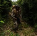 3d Intelligence Battalion Marines conduct training at Jungle Warfare Training Center