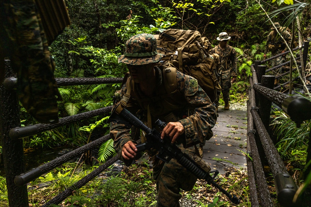 3d Intelligence Battalion Marines conduct training at Jungle Warfare Training Center