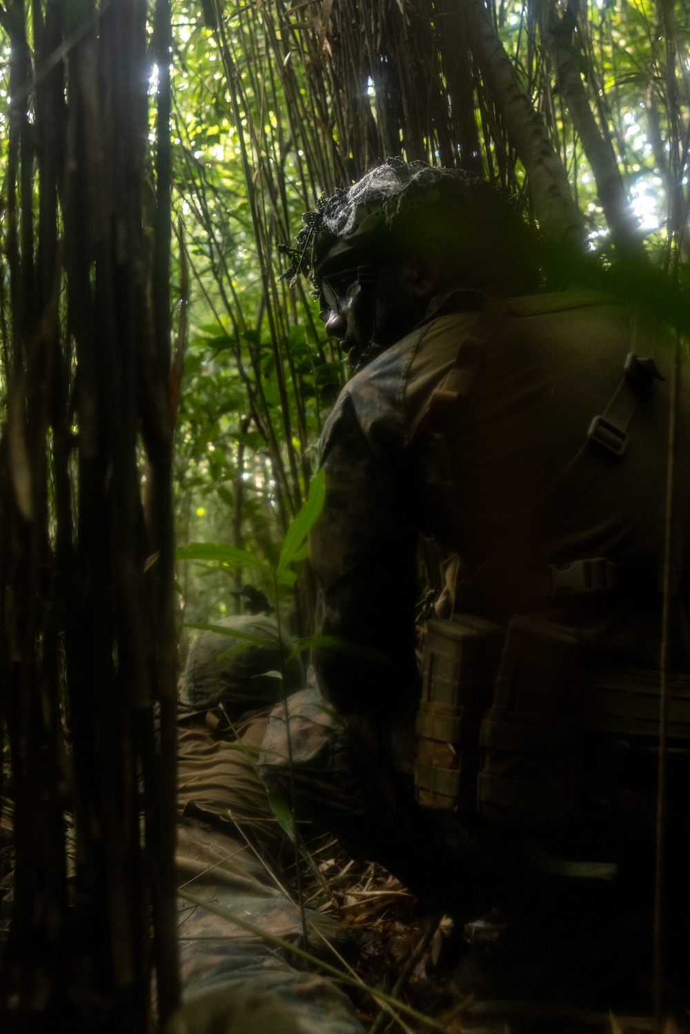 3d Intelligence Battalion Marines conduct training at Jungle Warfare Training Center