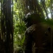 3d Intelligence Battalion Marines conduct training at Jungle Warfare Training Center