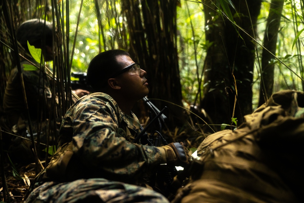 3d Intelligence Battalion Marines conduct training at Jungle Warfare Training Center