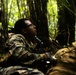 3d Intelligence Battalion Marines conduct training at Jungle Warfare Training Center