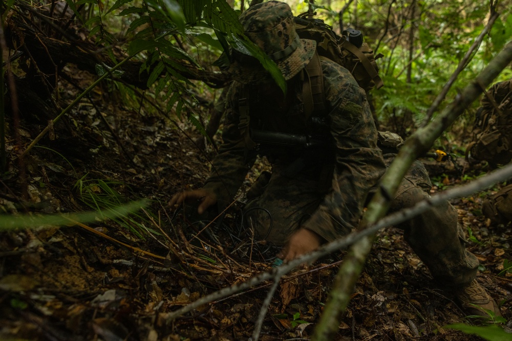 3d Intelligence Battalion Marines conduct training at Jungle Warfare Training Center