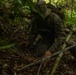 3d Intelligence Battalion Marines conduct training at Jungle Warfare Training Center