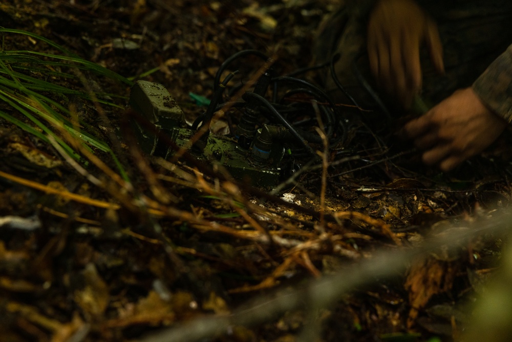 3d Intelligence Battalion Marines conduct training at Jungle Warfare Training Center