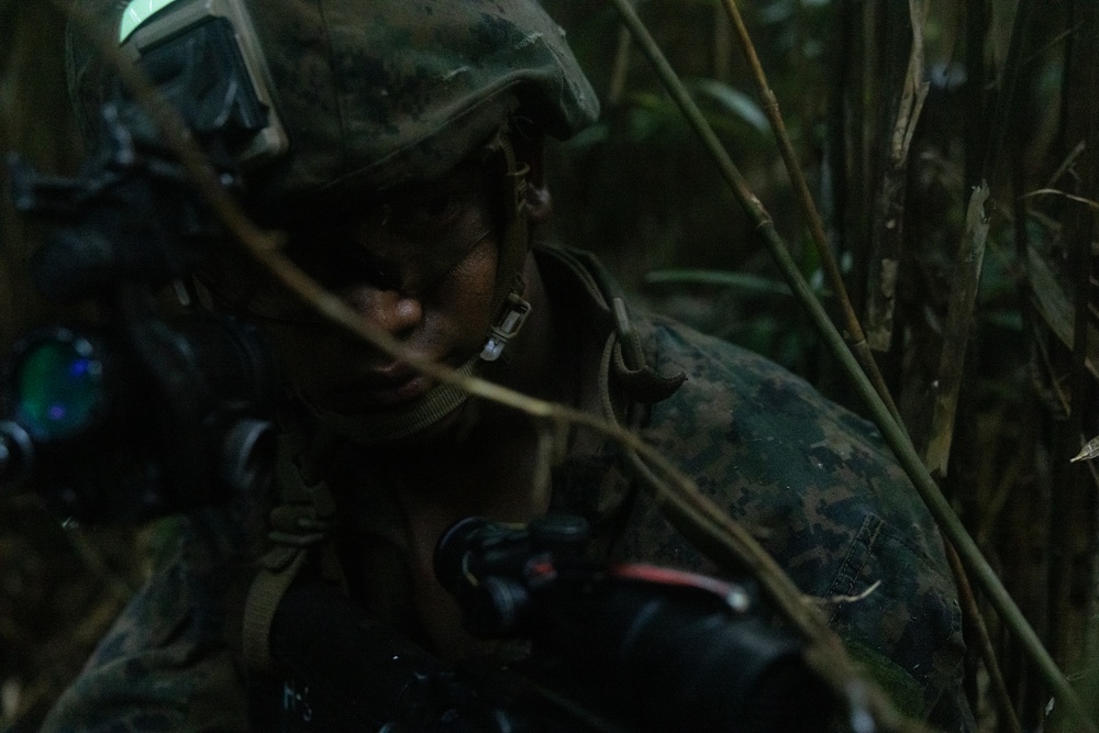 3d Intelligence Battalion Marines conduct training at Jungle Warfare Training Center