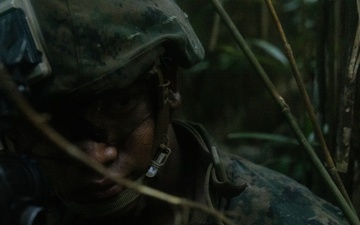3d Intelligence Battalion Marines conduct training at Jungle Warfare Training Center