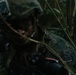 3d Intelligence Battalion Marines conduct training at Jungle Warfare Training Center