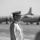 Fleet Air Wing 31 Change of Command Ceremony