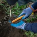 DPAA Mission 25-4 breaks ground in Papua New Guinea