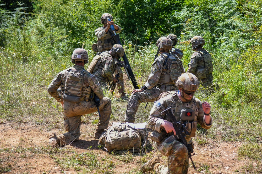 Exercise Eagle Ace 2025