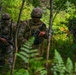 Exercise Eagle Ace 2025