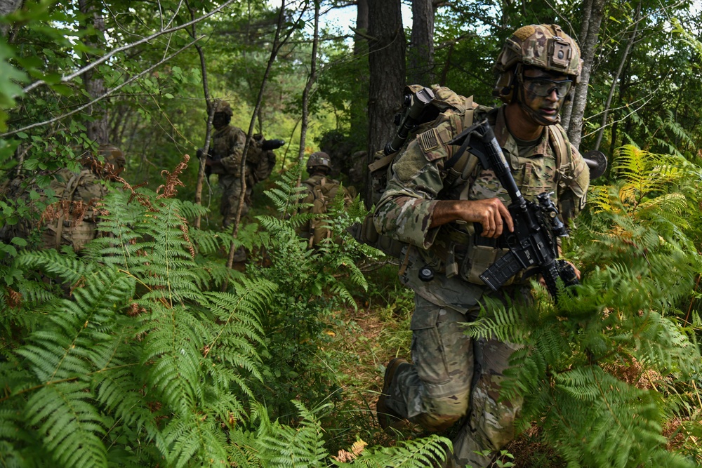 Exercise Eagle Ace 2025