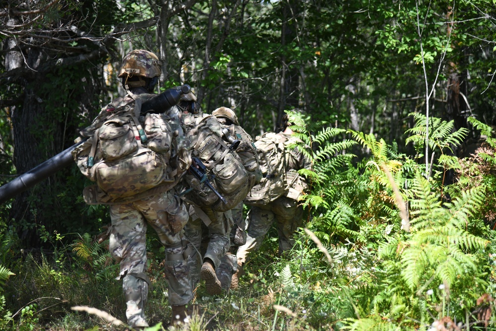 Exercise Eagle Ace 2025