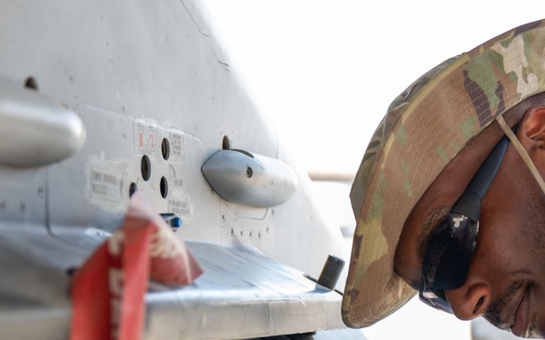 Locked and Loaded: 555th EFGS weapons flight