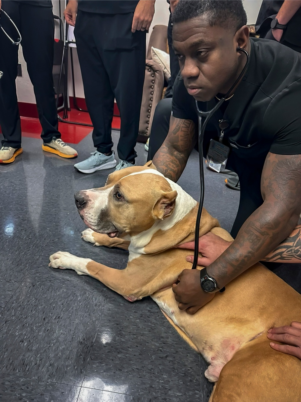 IPAP Students Partner with K9 for Training