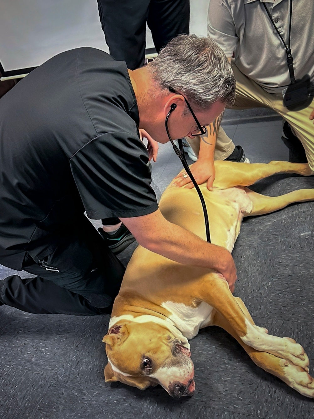 IPAP Students Partner with K9 for Training