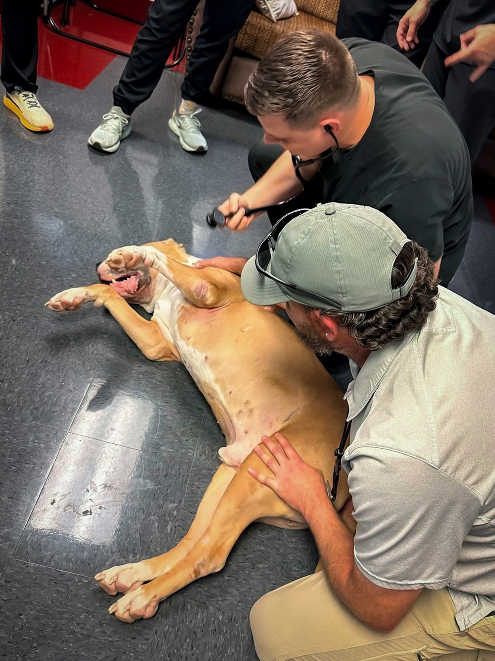 IPAP Students Partner with K9 for Training