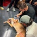IPAP Students Partner with K9 for Training