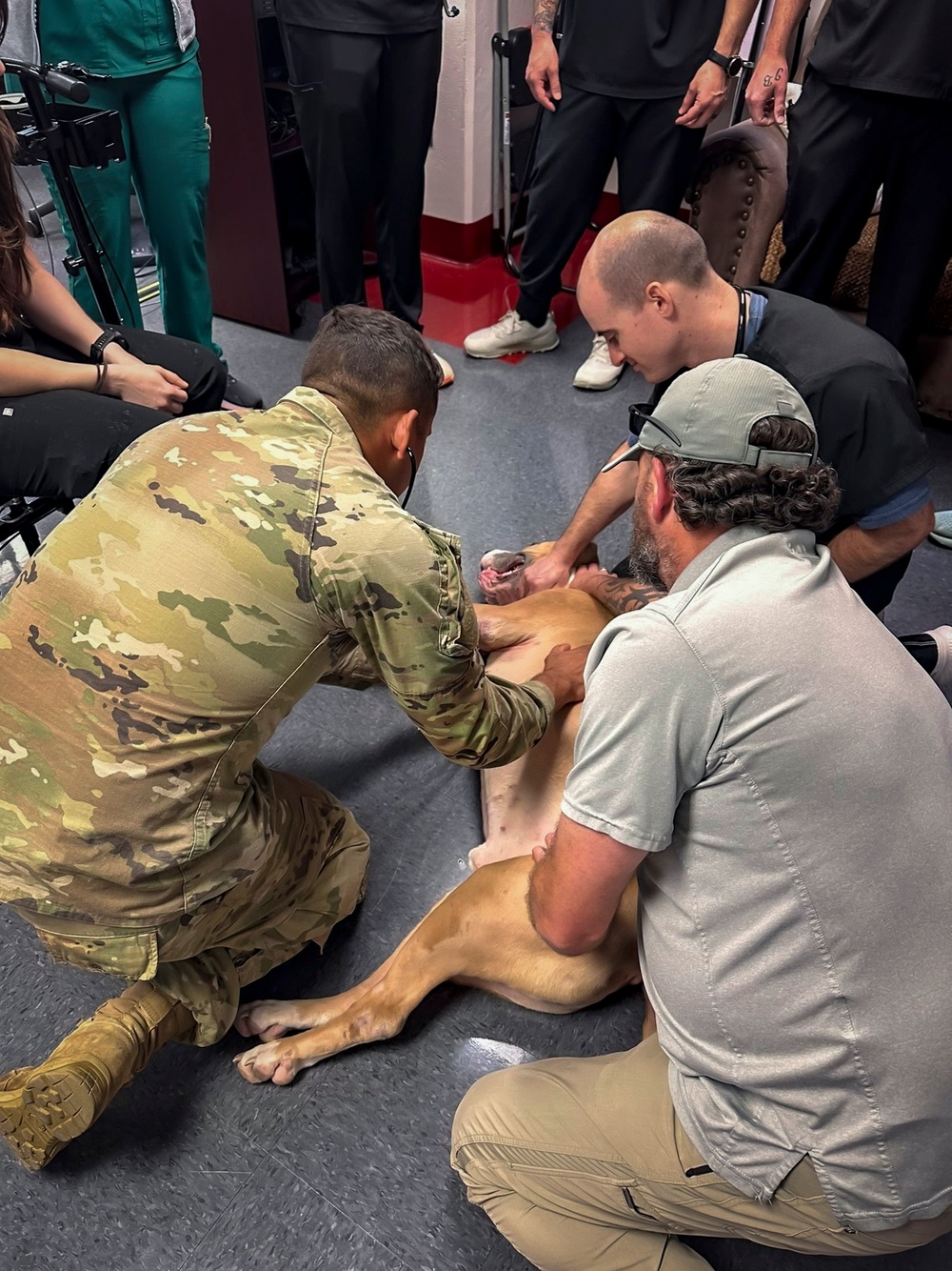 IPAP Students Partner with K9 for Training