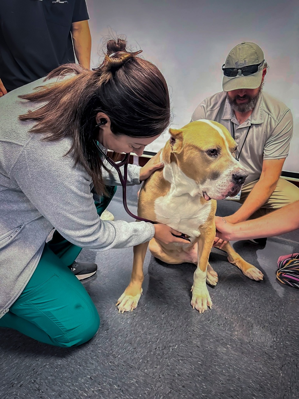 IPAP Students Partner with K9 for Training