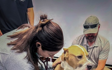 IPAP Students Partner with K9 for Training