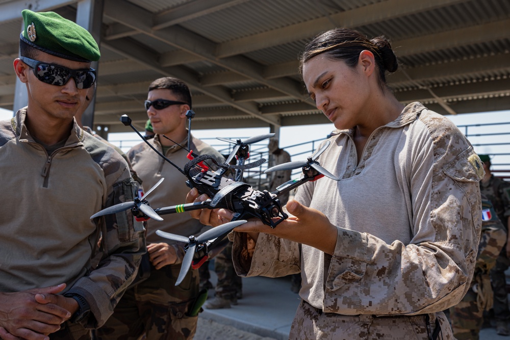 SLTE 4-25: Familiarization with French Soldiers