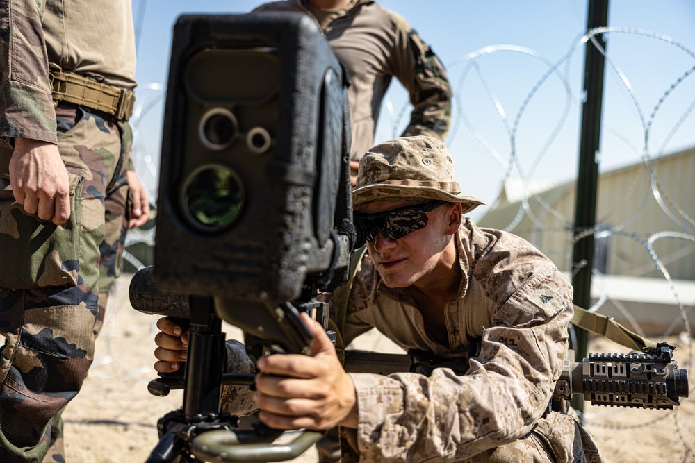 SLTE 4-25: Familiarization with French Soldiers