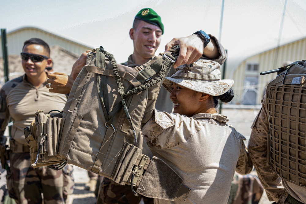 SLTE 4-25: Familiarization with French Soldiers