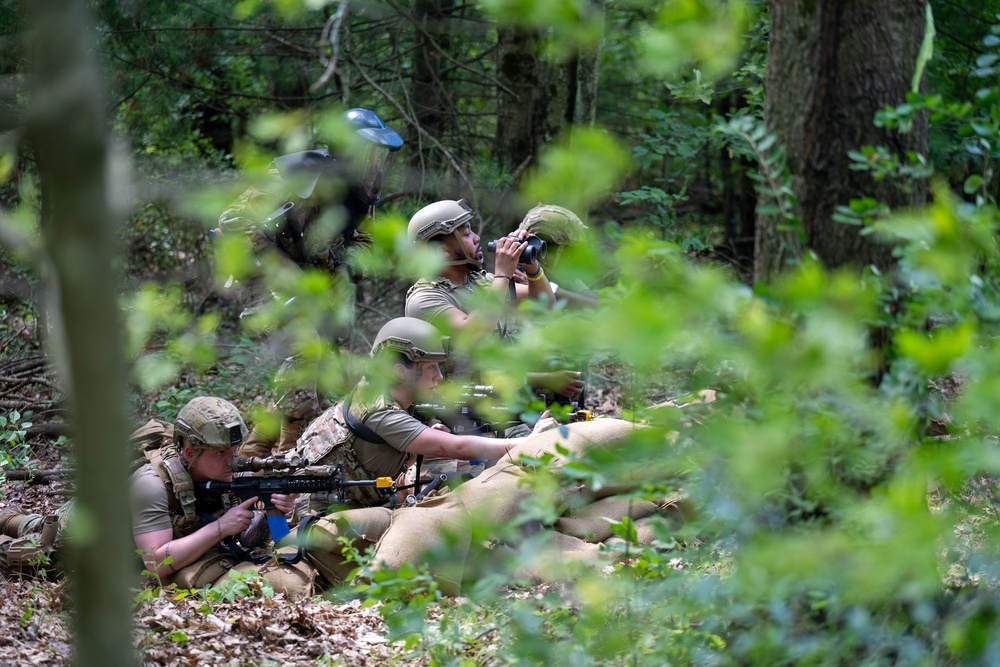 Exercise Eastern Nexus
