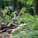 Exercise Eastern Nexus
