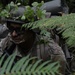 OCS Phase III Washington National Guard 2025