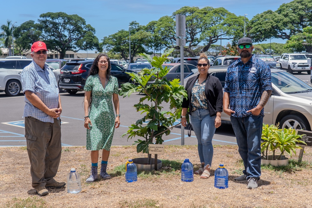 From Ships to Saplings: Nurturing a Legacy at Pearl Harbor