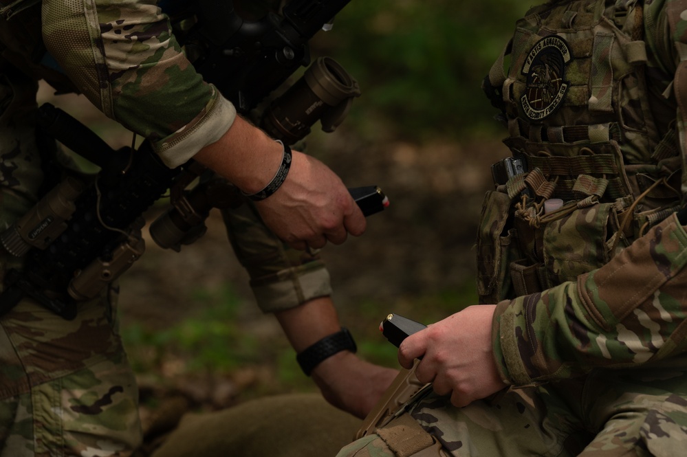 Exercise Eastern Nexus