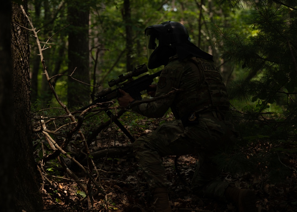 Exercise Eastern Nexus